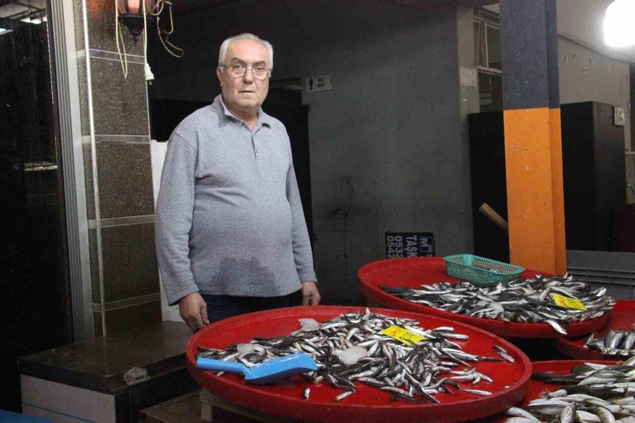 AYDIN'IN BOZDOĞAN İLÇESİNDE BALIKÇILIK YAPAN MEHMET BEKEM, TEZGAHLARINDA HAMSİ BAŞTA OLMAK ÜZERE...