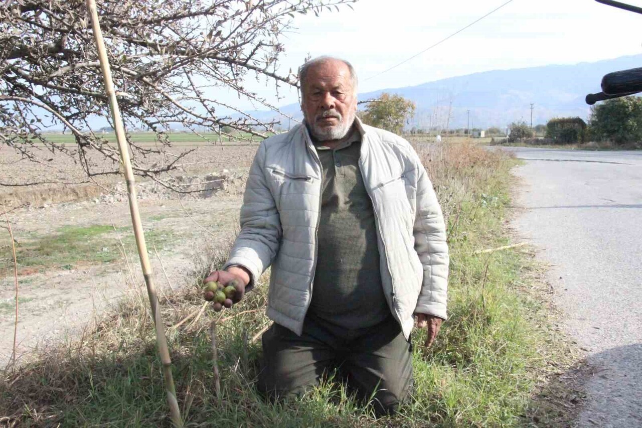 AYDIN'IN BOZDOĞAN İLÇESİNDE NAZMİ GÜNER, KALP SAĞLIĞINA OLAN KATKISIYLA BİLİNEN VE DOĞAL YAŞAMAK...