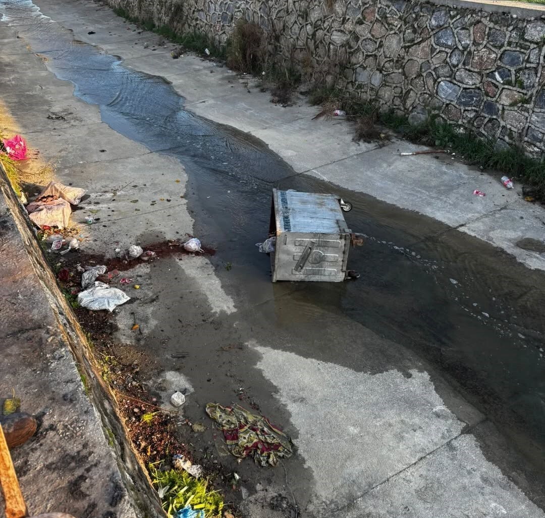 AYDIN'IN GERMENCİK İLÇESİNDEKİ ÇÖP KONTEYNERLERİNİ DEVİREN VE İLÇE KANALINA ATAN DUYARSIZ...