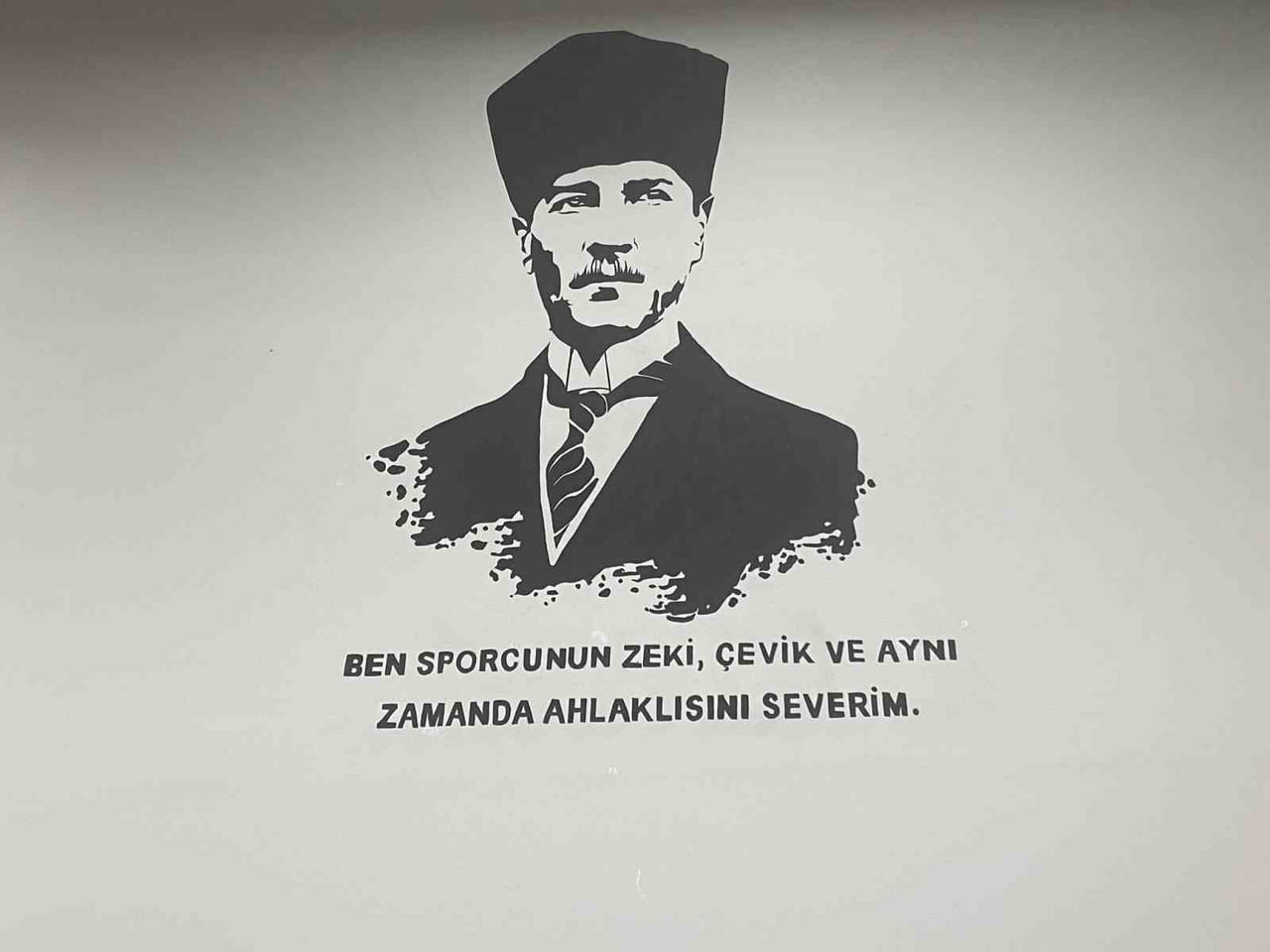 AYDIN'IN KARACASU İLÇESİNDE KAPALI SPOR SALONU'NA YAPTIĞI ÇİZİMLERLE BEĞENİ TOPLAYAN KARACASU...