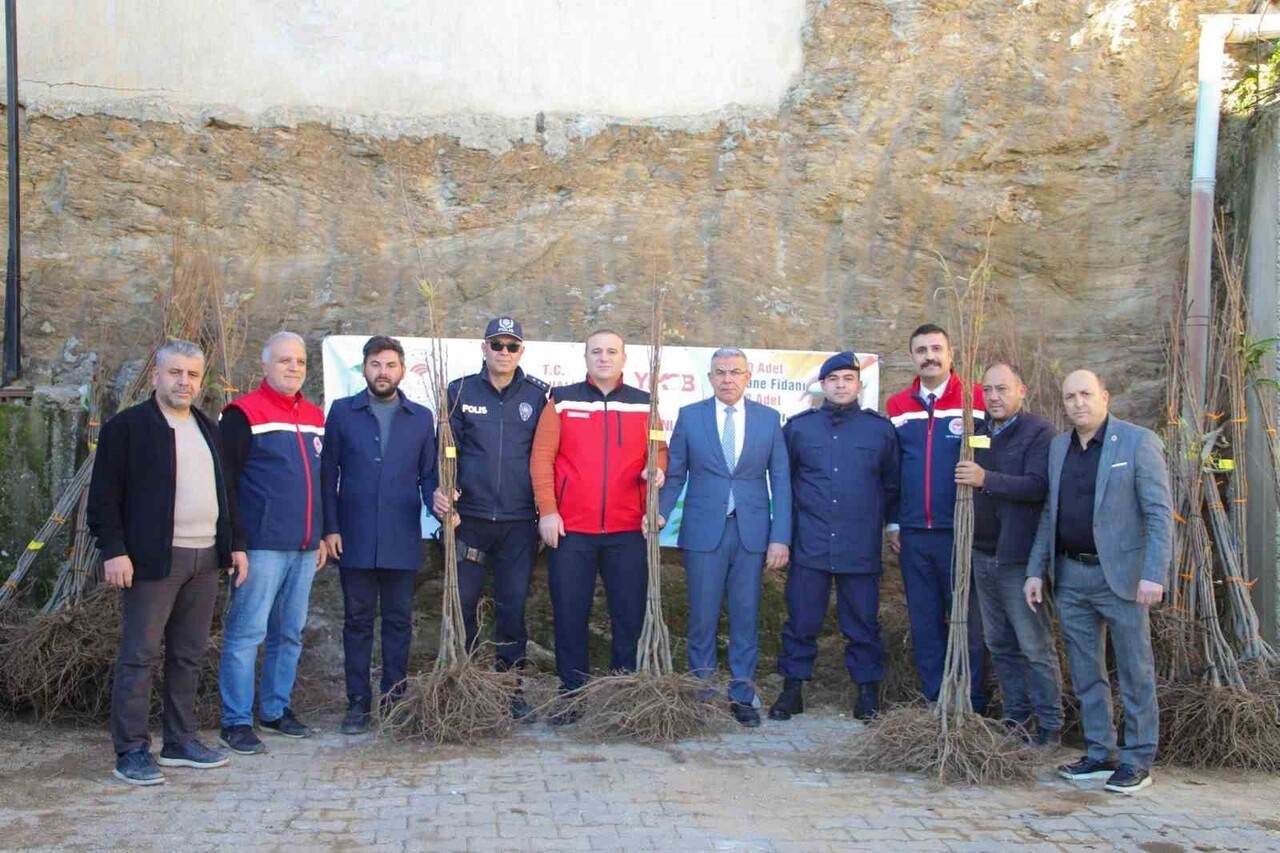 AYDIN'IN KÖŞK İLÇESİNDE KESTANE FİDANLARI ÜRETİCİLERE DAĞITILIRKEN, KÖŞK BELEDİYE BAŞKANI NURİ...