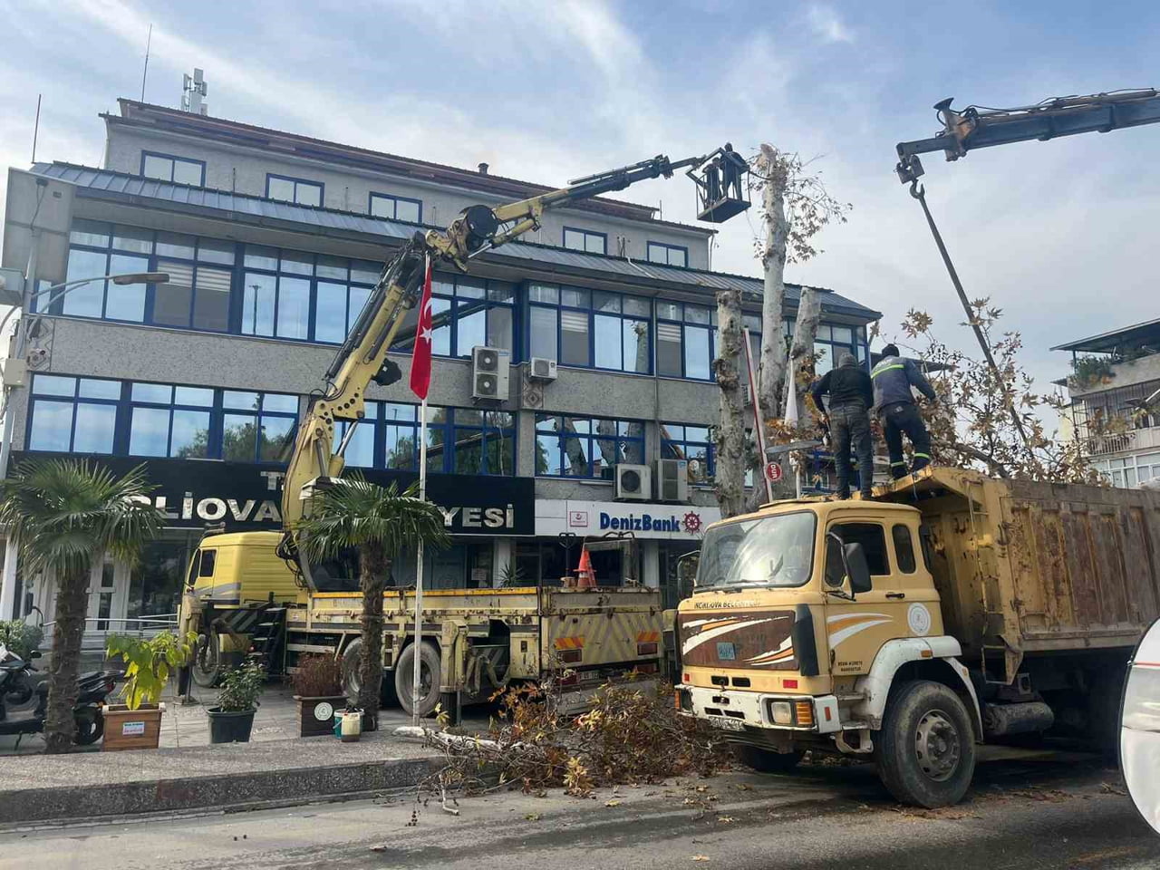 AYDIN’IN İNCİRLİOVA İLÇESİNDE BULUNAN TARİHİ ÇINAR AĞACININ DEVRİLME RİSKİ TAŞIMASI NEDENİYLE...