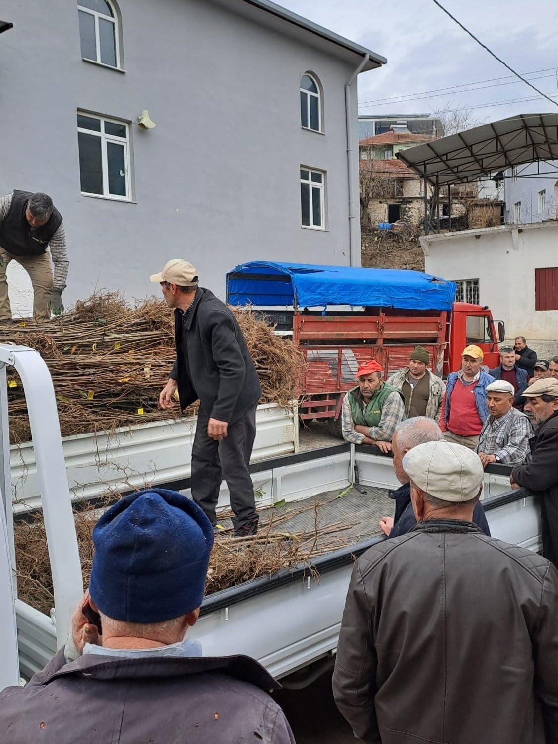 AYDIN’IN KÖŞK İLÇESİNDE "BİTKİSEL ÜRETİMİN KORUNMASI VE ÇEŞİTLİLİĞİN ARTIRILMASI PROJESİ"...