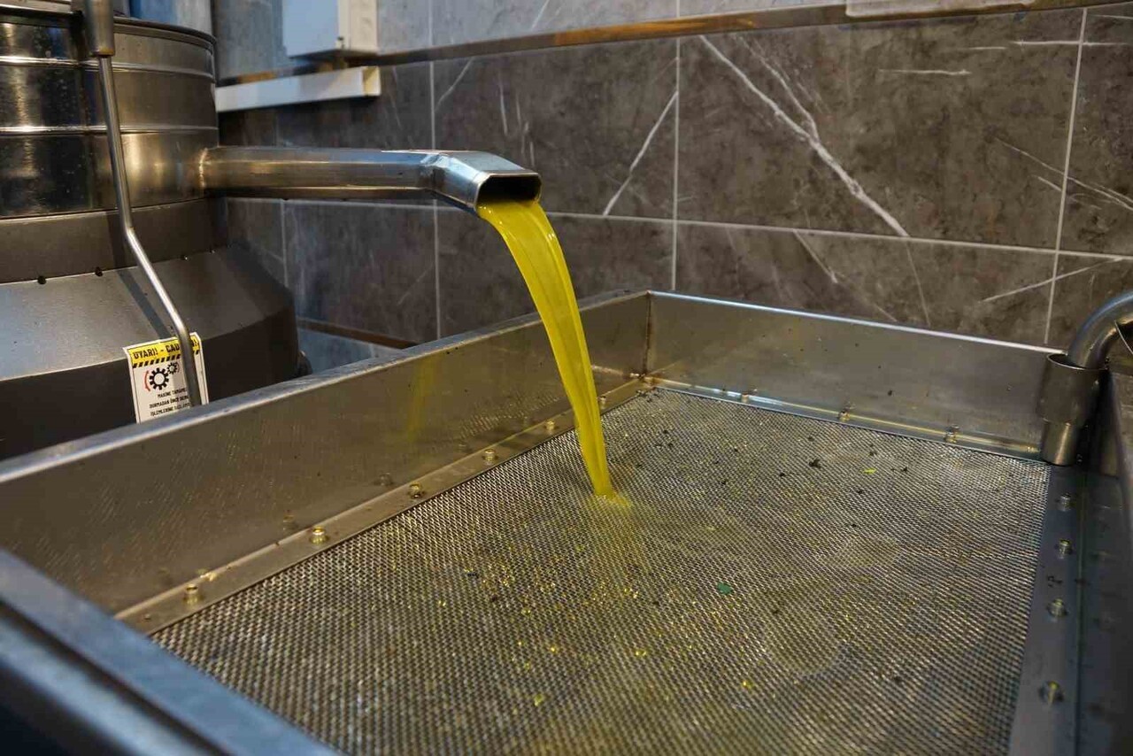 AYDIN’IN ÖNEMLİ İHRACAT ÜRÜNLERİNDEN OLAN VE KALİTESİ YÜKSEK OLAN ZEYTİNYAĞININ, BU YIL...