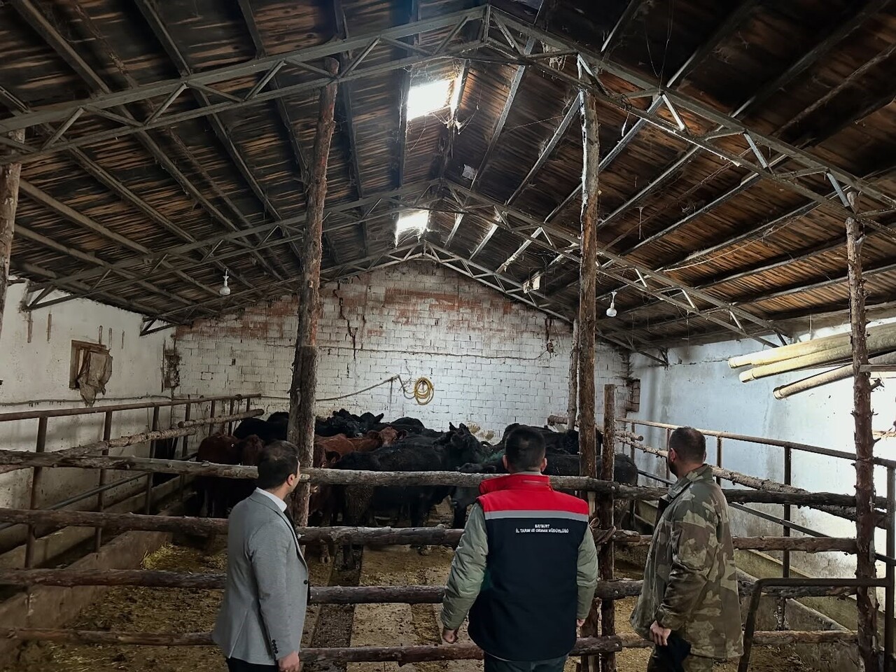 AYDINTEPE’DE HAYVANCILIĞA DESTEK PROJESİNDE İLK TESLİMAT YAPILDI