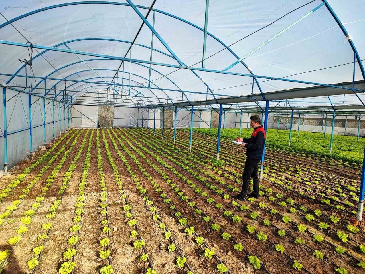 BABAESKİ İLÇE TARIM VE ORMAN MÜDÜRLÜĞÜ TEKNİK EKİPLERİ, SERA ALANLARINA YÖNELİK "KAPALI ORTAMDA...