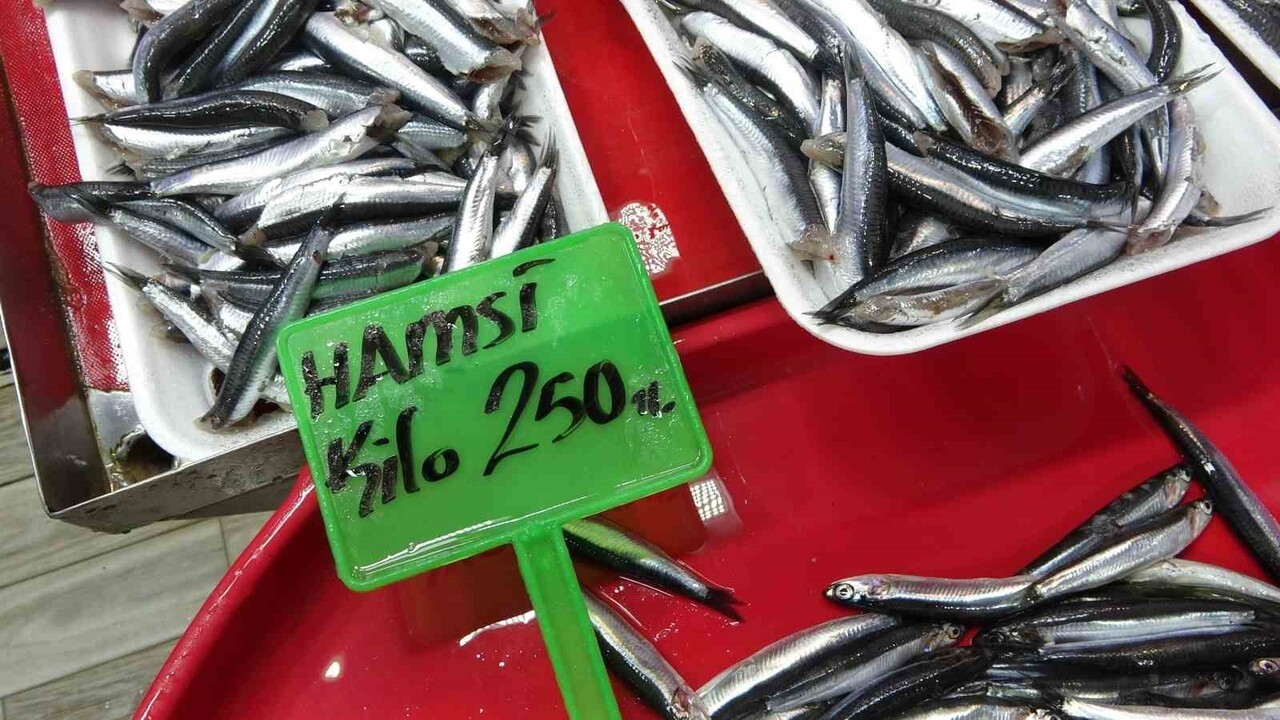 BALIK TEZGAHINDAKİ BALIKLAR