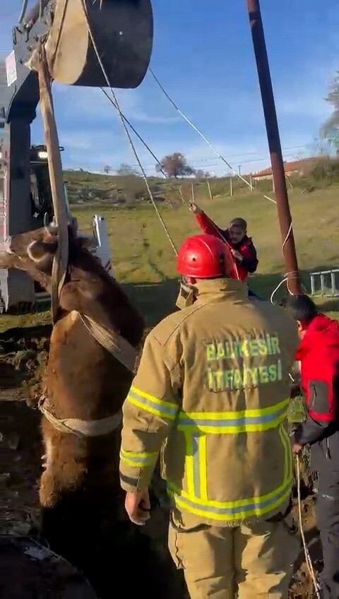 BALIKESİR'DE KUYUYA DÜŞEN İNEK KURTARILDI