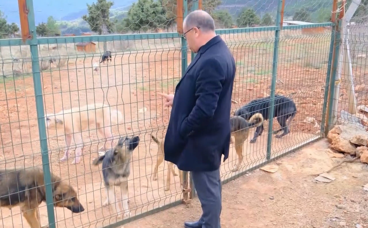 BARINAKTA TOPLANAN KÖPEKLER DÜZENLİ BAKIM, TEDAVİ VE BESLENME İMKÂNINA KAVUŞTU. BELEDİYE BAŞKANI...