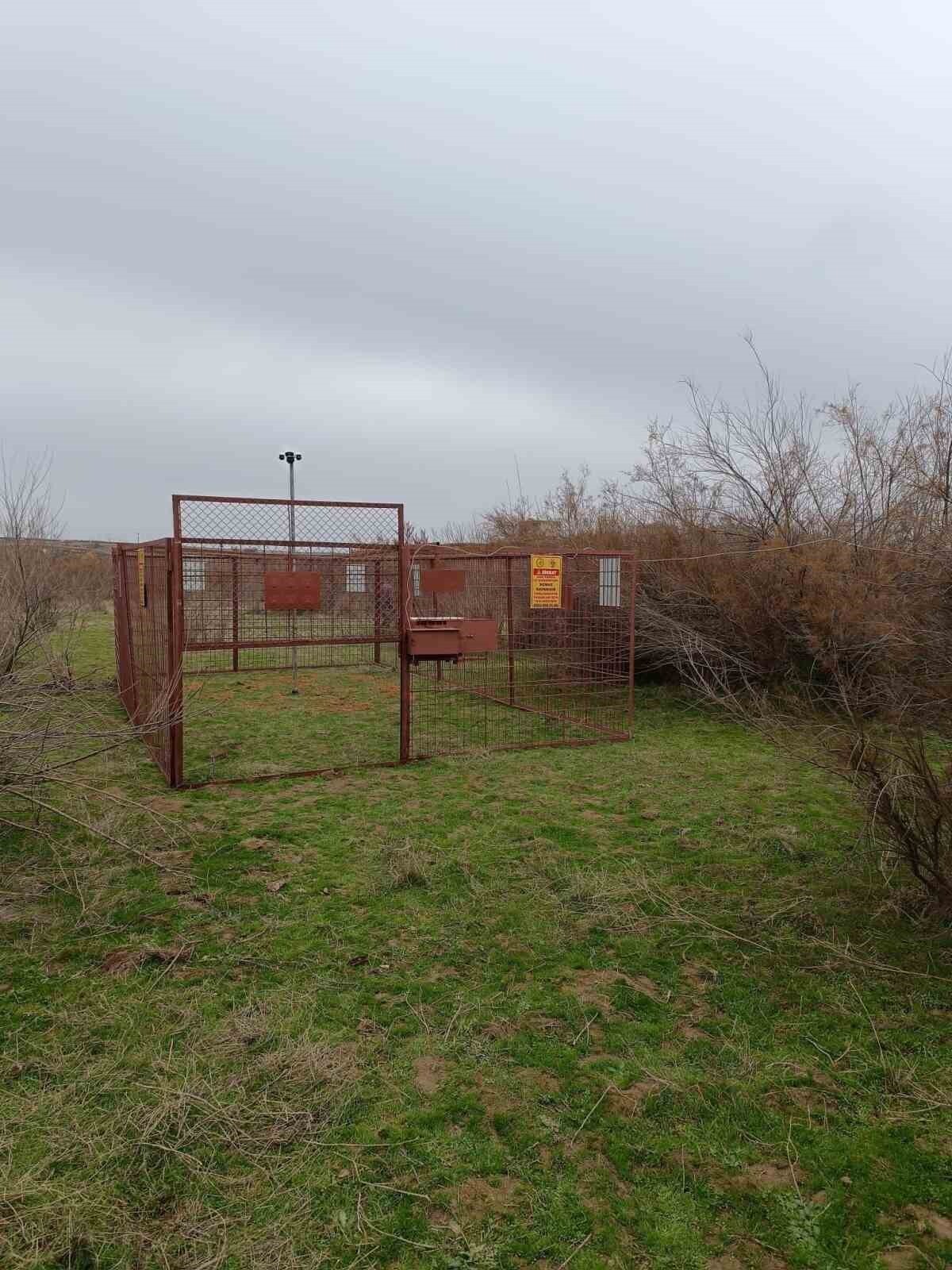 BATMAN'DA BİR TURİZM ACENTESİ, YABAN DOMUZU İLE MÜCADELE ÇALIŞMALARI KAPSAMINDA GELİŞTİRDİĞİ...