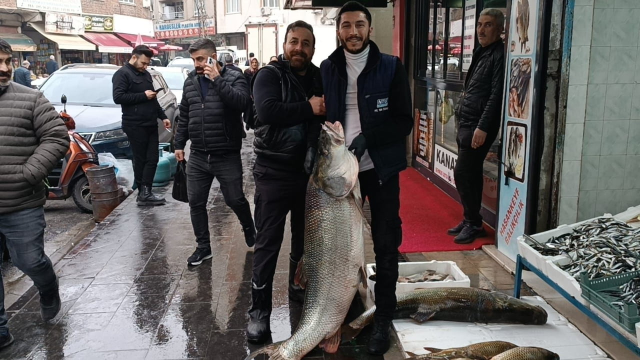 BATMAN’DA DEV TURNA BALIĞI İLGİ ODAĞI OLDU