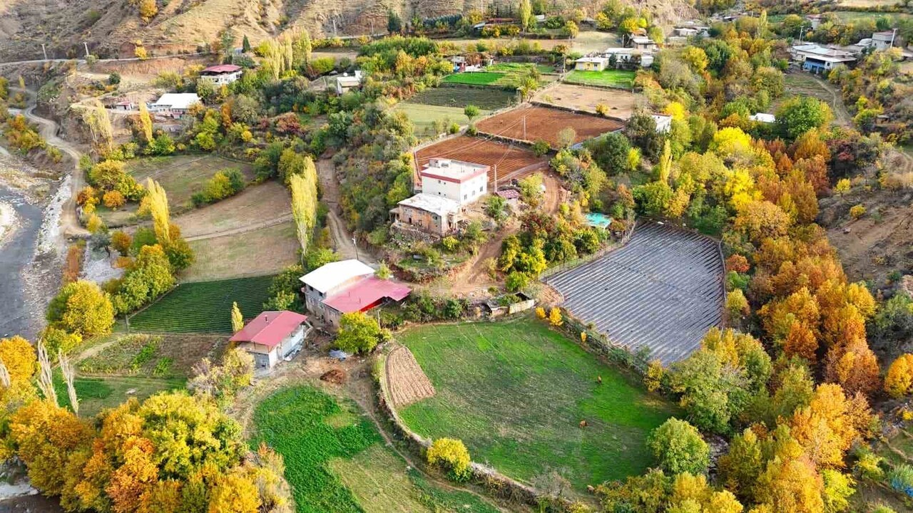 BATMAN’IN SASON İLÇESİ, SONBAHAR İLE BİRLİKTE ADETA RENK CÜMBÜŞÜNE DÖNÜŞTÜ. YAPRAKLARIN...