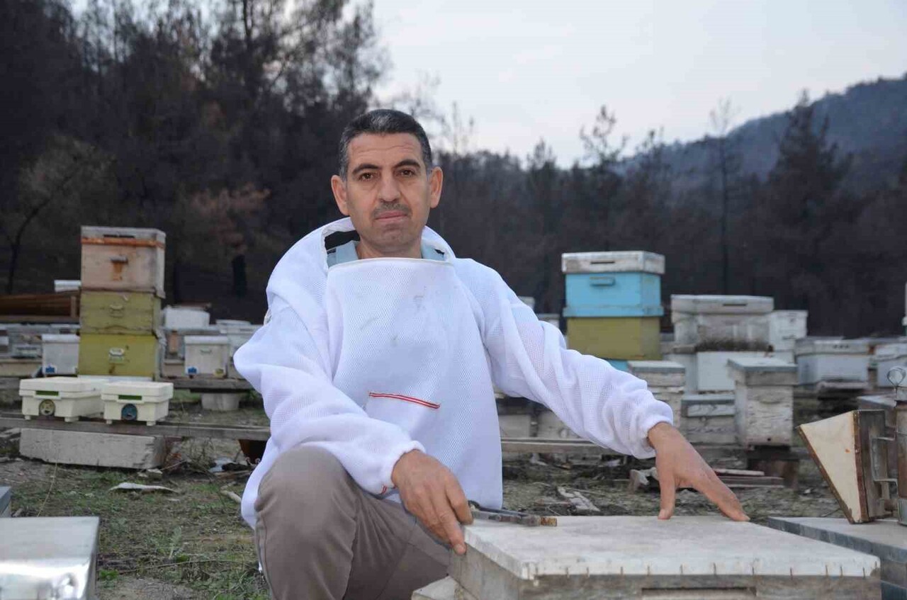 BAYRAM ÖZÇANAK "KURSAĞI BAL DOLU OLAN ARI DA KİTİNİNİ KIVIRIP DA KARŞIDAKİ CANLIYI SOKAMIYOR. BUNU...