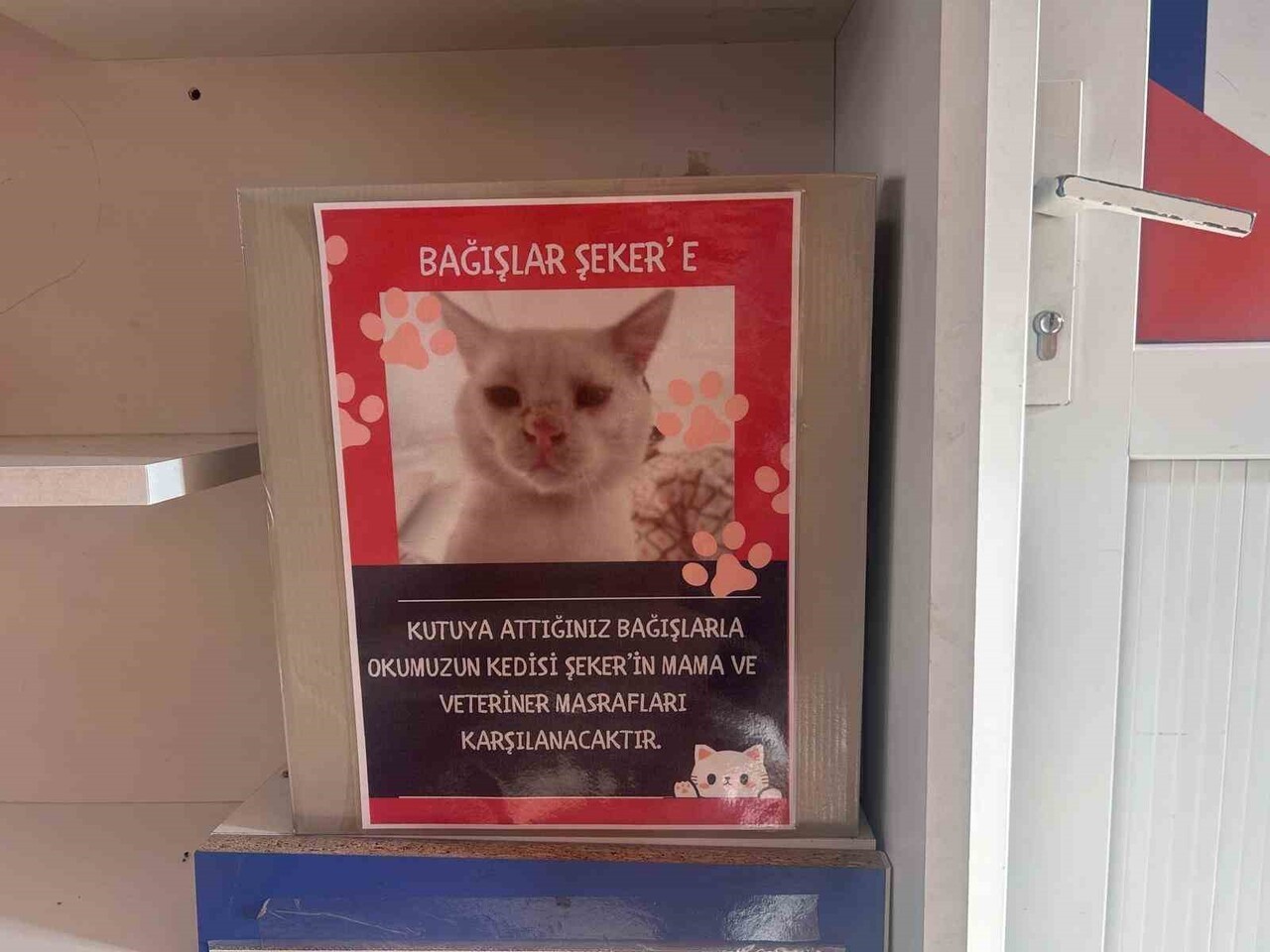 BİLECİK'İN BOZÜYÜK İLÇESİNDE BULUNAN SAFFET ŞEKER İLKOKULUNUN ÖĞRETMENLERİ VE ÖĞRENCİLERİ...