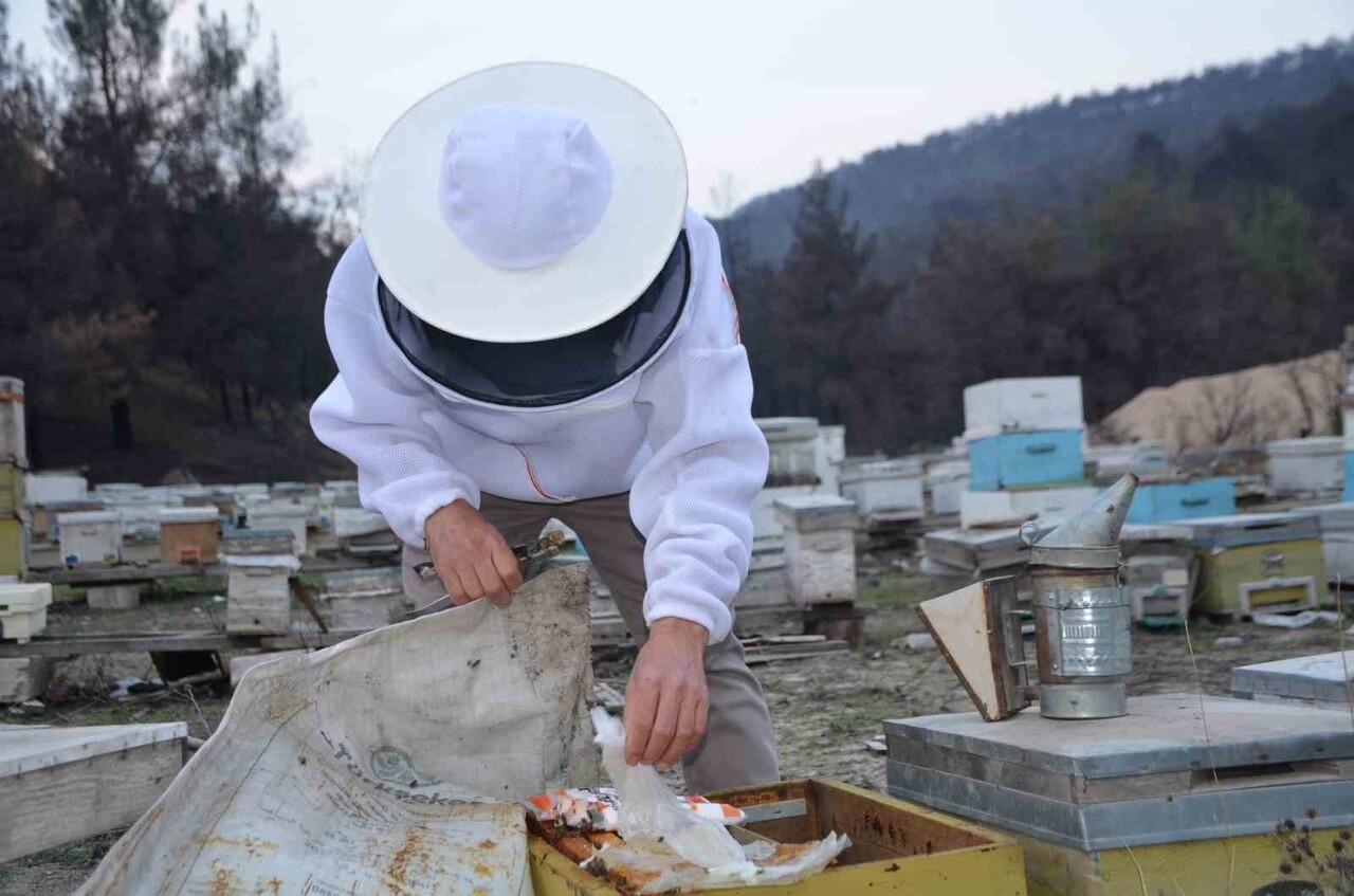 BİLECİK'İN OSMANELİ İLÇESİ KIZILÖZ KÖYÜNDE YAŞAYAN BAYRAM ÖZÇANAK, 15 YIL ÖNCE HOBİ OLARAK BİR...