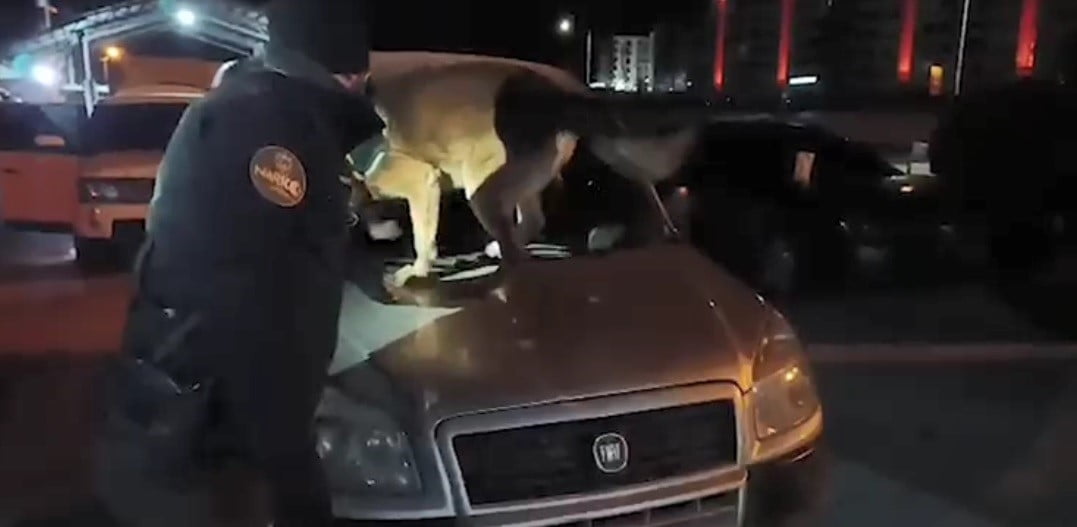 BİTLİS EMNİYET MÜDÜRLÜĞÜ EKİPLERİNİN UYUŞTURUCU İLE MÜCADELE KAPSAMINDA YÜRÜTTÜĞÜ ÇALIŞMALAR...