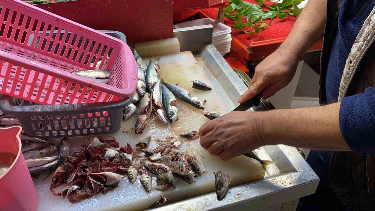 BOLU’DA UZUN YILLARDIR BALIKÇILIK YAPAN İLHAN BAŞARAN, BALIĞIN TAZELİĞİNİN GÖZÜNDEN...