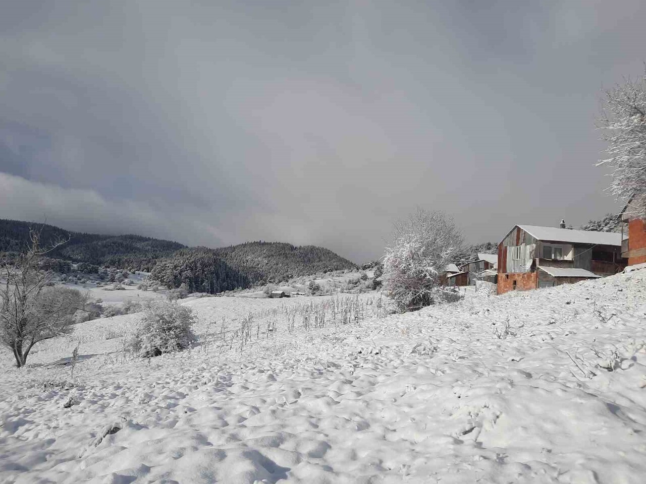 BOLU’NUN DOĞA HARİKASI ABANT BÖLGESİNDE KAR YAĞIŞI ETKİLİ OLDU. PELİTÖZÜ, ÇEPNİ, ÖRENCİK, SAMAT VE...