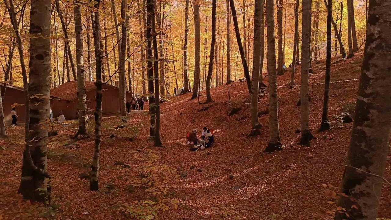 BOLU’NUN TABİAT VE MİLLİ PARKLARINA GİRMEK İÇİN 2026 YILINDAN İTİBAREN RANDEVULU SİSTEM...