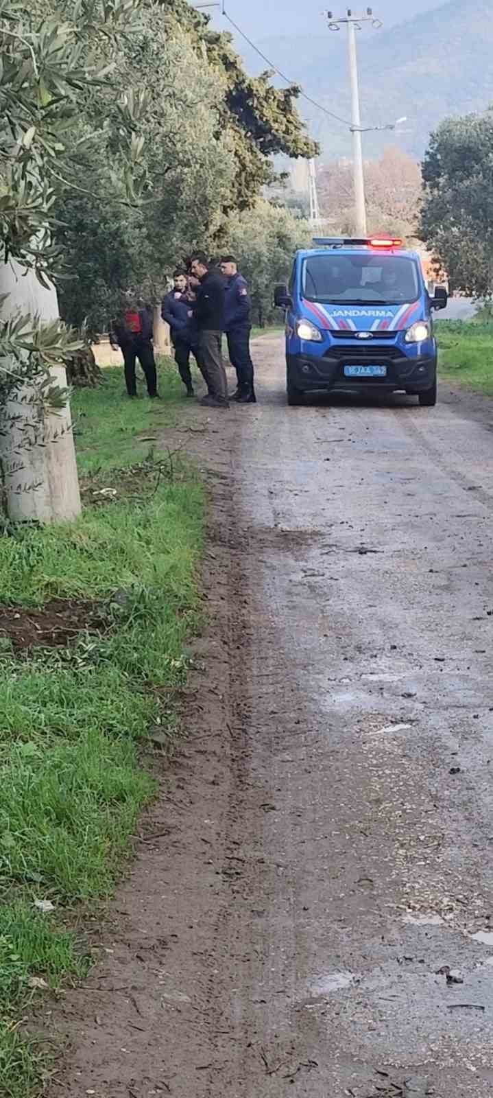 BURSA'NIN ORHANGAZİ İLÇESİNDE ZEYTİN AĞAÇLARININ BULUNDUĞU TARLAYA GİREN HIRSIZLAR, SAHİBİNDEN...