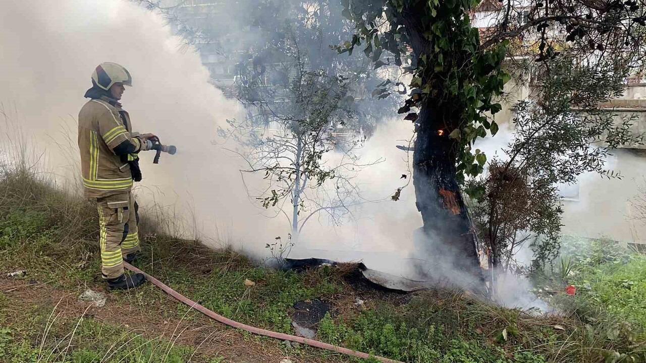 BURSA’NIN MUDANYA İLÇESİ GÜZELYALI BURGAZ MAHALLESİ MERAALTI SOKAK'DA BULUNAN ÇAMLIK ALANDA, BUGÜN...