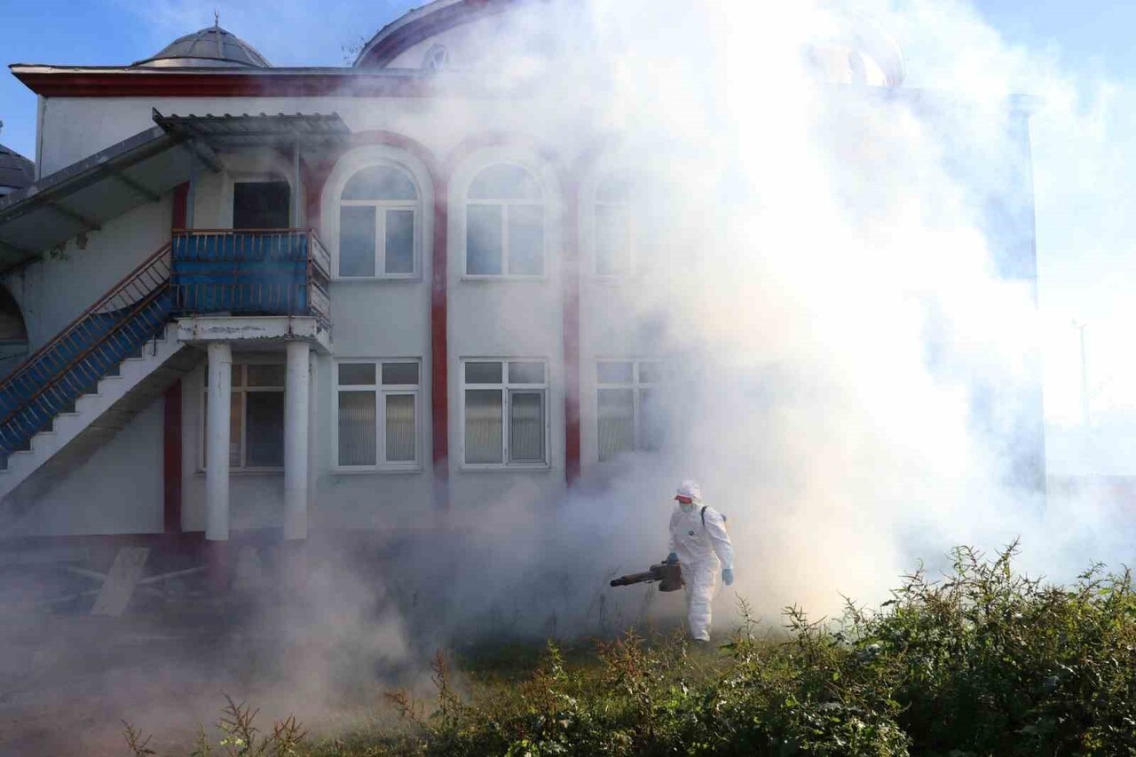 ÇARŞAMBA İLÇESİNDE, TARIMSAL ÜRETİMDE CİDDİ VERİM VE KALİTE KAYIPLARINA YOL AÇAN KAHVERENGİ...