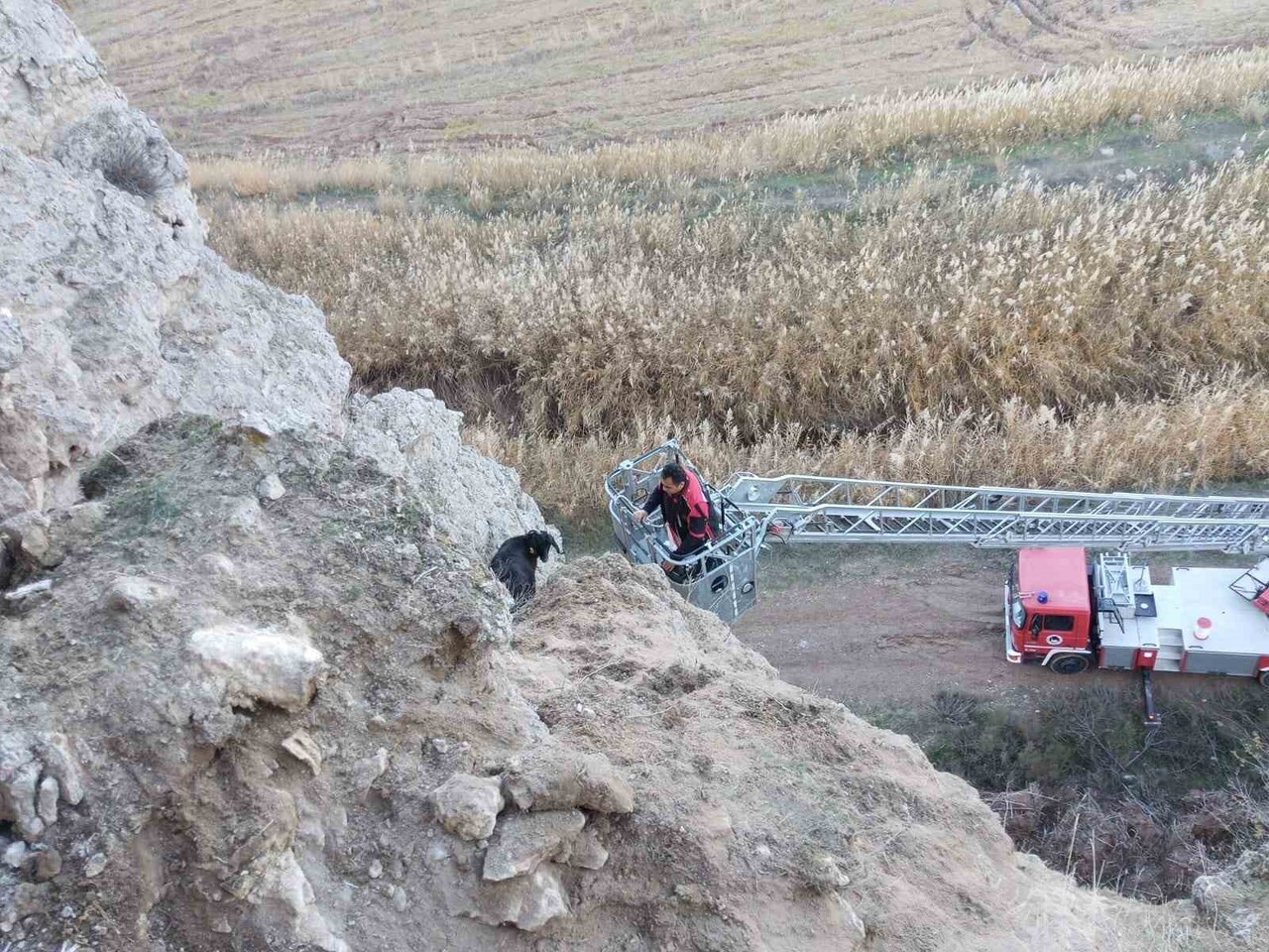 ÇORUM'UN SUNGURLU İLÇESİNE BAĞLI KULA KÖYÜNDE DAĞLIK ALANDA MAHSUR KALAN KEÇİLER, SUNGURLU...