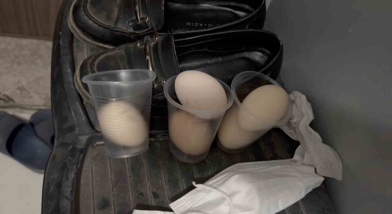 ÇORUM’UN SUNGURLU İLÇESİNDE YAKINLARININ KENDİSİNDEN HABER ALAMADIĞI 80 YAŞINDAKİ KADIN, EVİNDE...