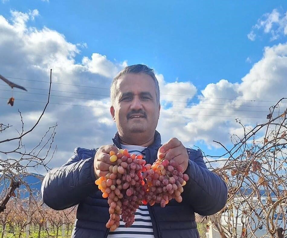 CRİMSON ÜZÜMÜ YETİŞTİREN ÜRETİCİ SERHAT AKKAYA İSE ÜZÜM SEZONUNUN SONA ERDİĞİNİ BELİRTEREK...