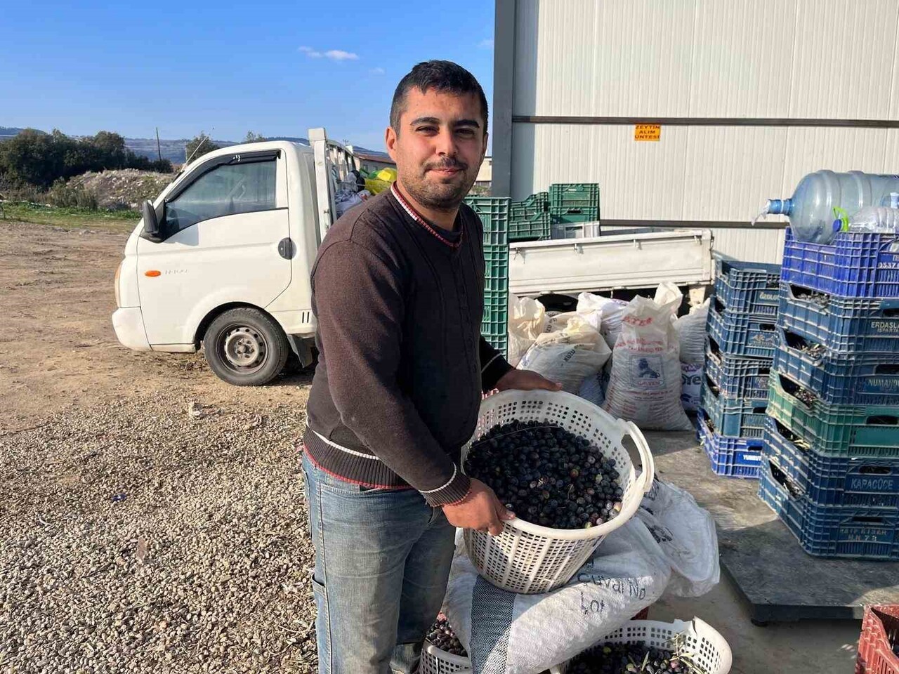 DENİZLİ’DE EKİM AYININ İLK GÜNLERİNDE ÜRETİCİ TARAFINDAN BAŞLAYAN ZEYTİN TOPLAMA ÇALIŞMALARI OCAK...