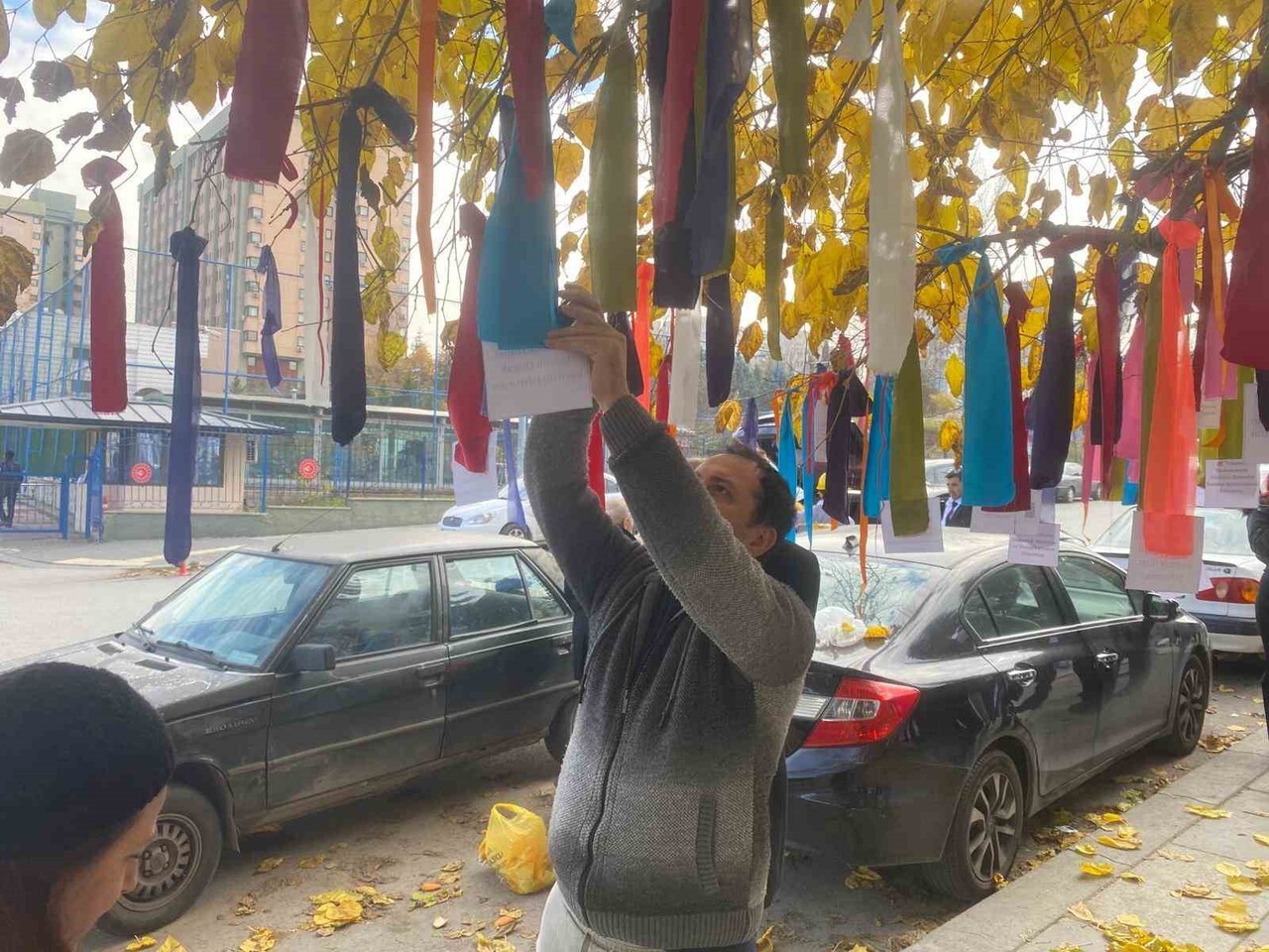 DEVLET MEMURLARI KONFEDERASYONU TARAFINDAN ÇALIŞMA VE SOSYAL GÜVENLİK BAKANLIĞI ÖNÜNDEKİ BİR AĞACI...
