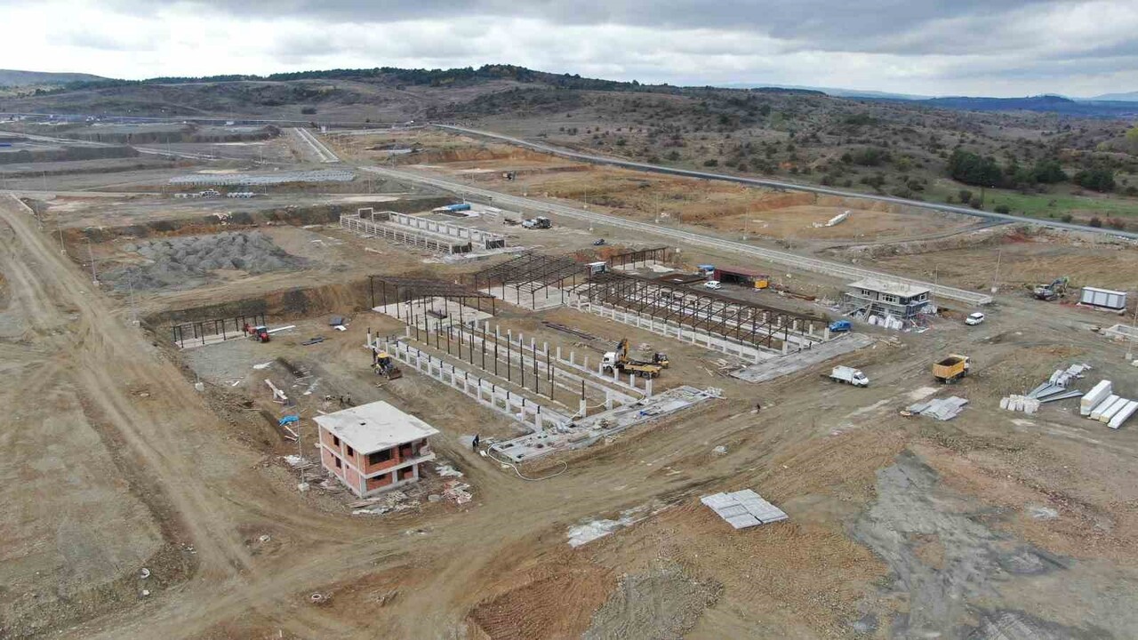 DEVREKANİ BELEDİYE BAŞKANI ENGİN ALTIKULAÇ, 500 KİŞİYE İSTİHDAM AĞLAMASI HEDEFLENEN TARIMA DAYALI...