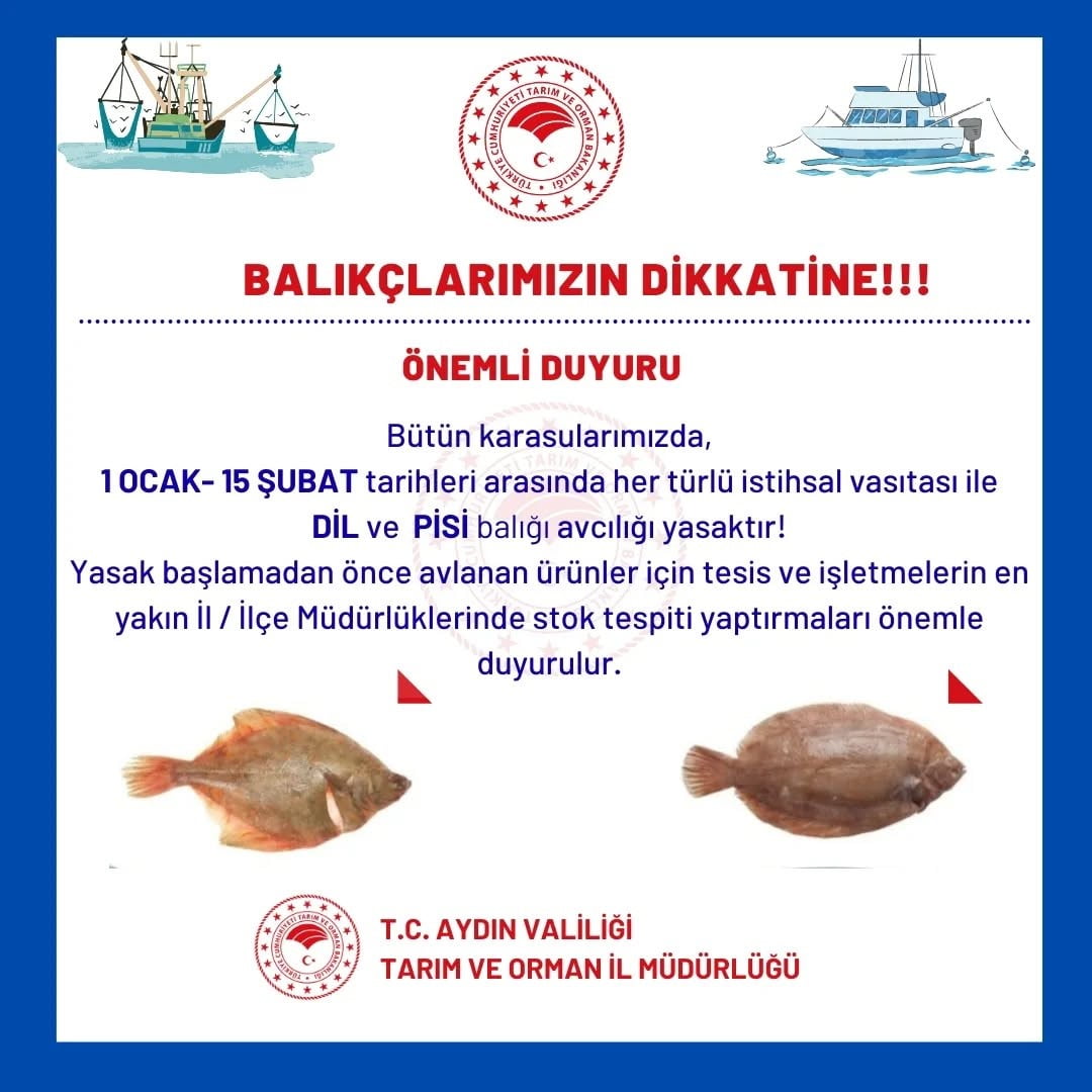 DİL VE PİSİ BALIĞI AVCILIĞI 1 OCAK – 15 ŞUBAT TARİHLERİ ARASINDA YASAKLANIRKEN, AYDIN İL TARIM VE...