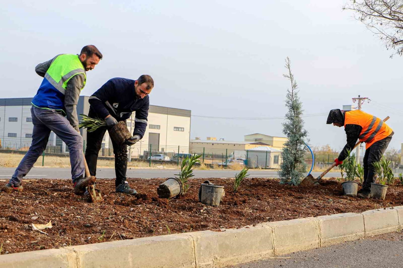 DİYARBAKIR BÜYÜKŞEHİR BELEDİYESİ, KENT GİRİŞLERİ ÇALIŞMALARI KAPSAMINDA MARDİN YOLUNDA YER ALAN 14...