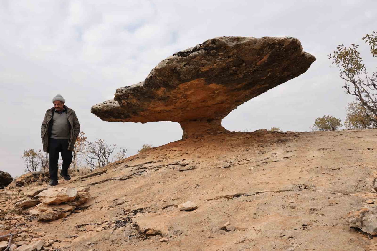 DİYARBAKIR’IN KOCAKÖY İLÇESİNDE BULUNAN "MANTAR KAYA" VEYA DİĞER ADIYLA BİLİNEN "KALKAN KAYA"...