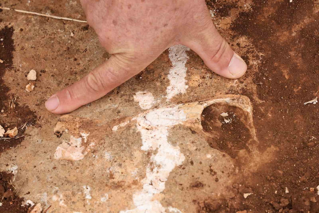 DİYARBAKIR’IN KOCAKÖY İLÇESİNİN ÜZERİNDE OLDUĞU ZEMİNİN TETİS DENİZİ’NİN ZEMİNİ OLDUĞU...