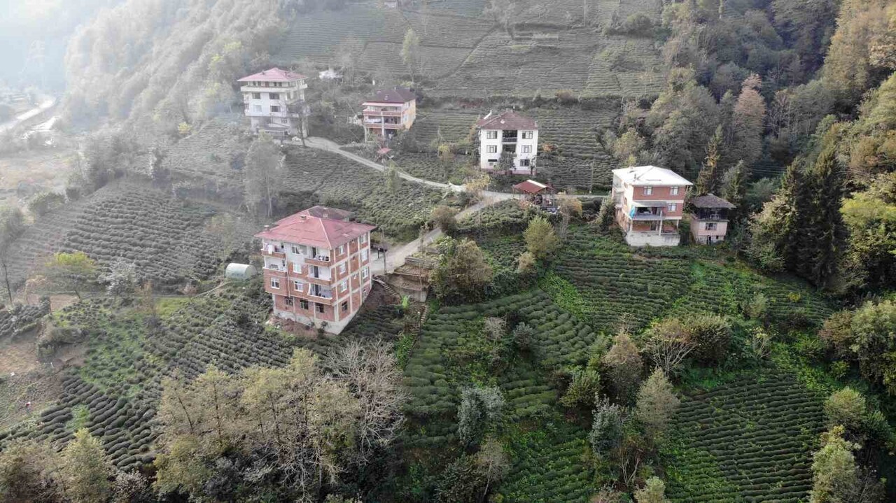 DOĞU KARADENİZ’İN ESTETİĞİNİ BOZAN YAPILARIN SIVASIZ TUĞLALI OLUŞU, ENERJİ VERİMLİLİĞİ VE...