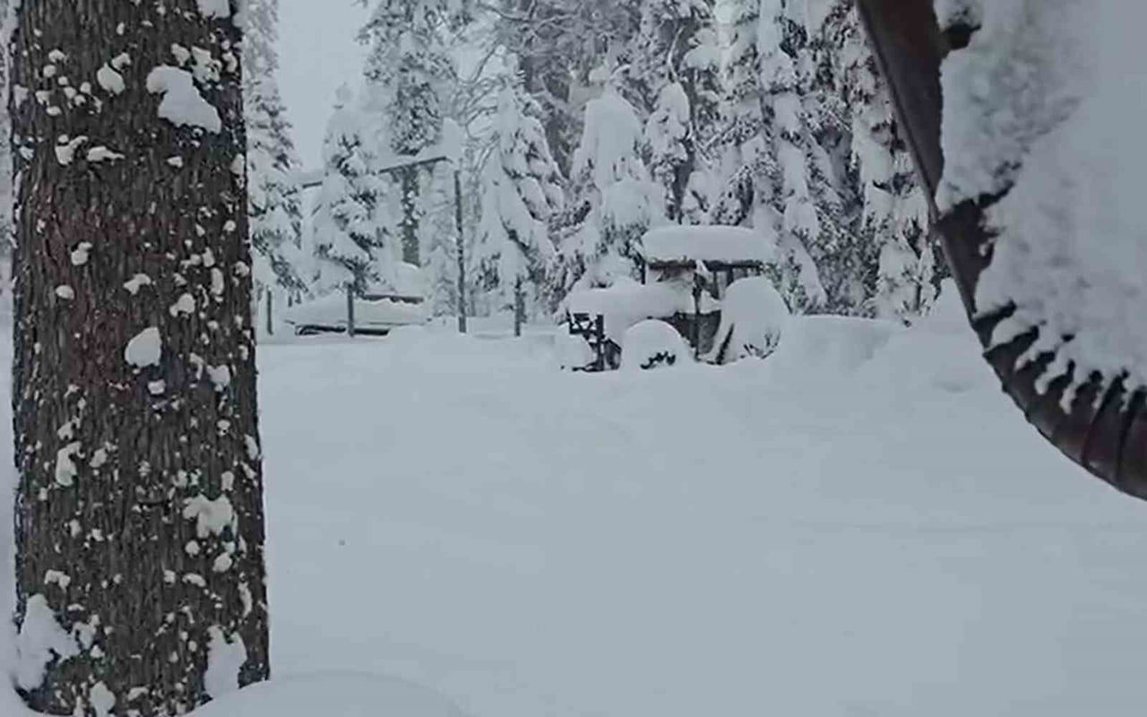 DÜZCE'DE İKİ GÜNDÜR ARALIKLARLA DEVAM EDEN YAĞIŞIN ARDINDAN YÜKSEK KESİMLERDE KAR KALINLIĞI 1,5...