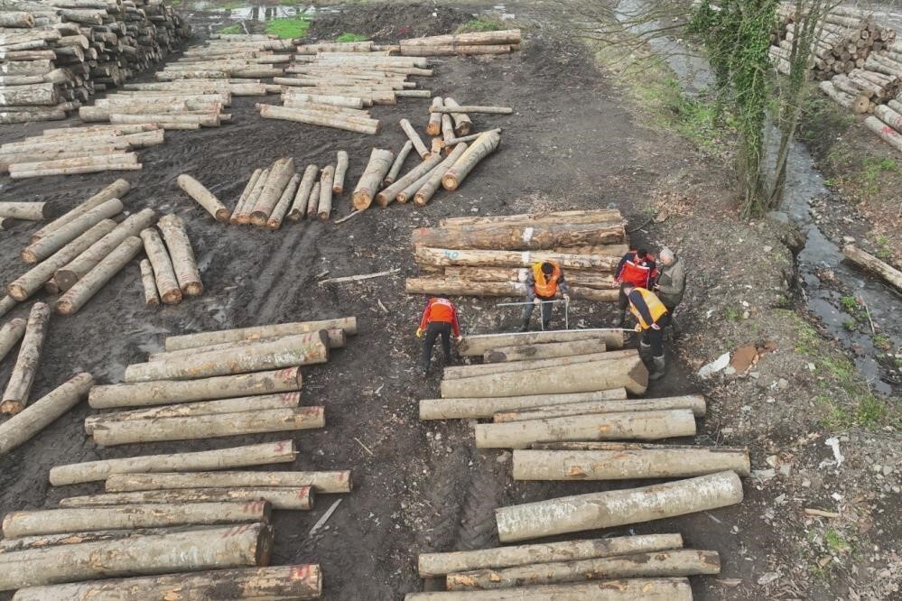 DÜZCE'DE ORMAN ÜRÜNÜ İHRACATI GEÇEN YILIN ÜSTÜNE ÇIKTI. DÜZCE'NİN ORMAN ÜRÜNLERİ ÜRETİMİNİN...