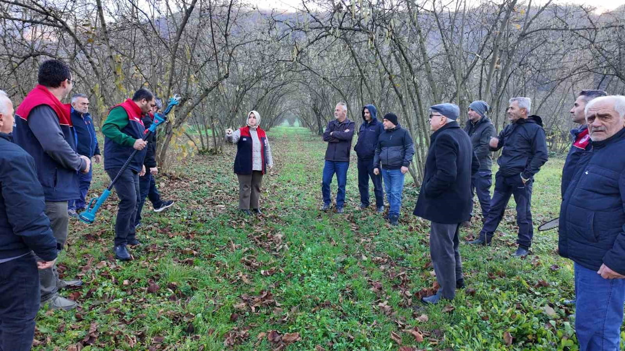 DÜZCE'DE TARIM VE ORMAN MÜDÜRLÜĞÜ TARAFINDAN FINDIK BUDAMA EĞİTİMLERİ, MERKEZ VE İLÇELERDE DEVAM...