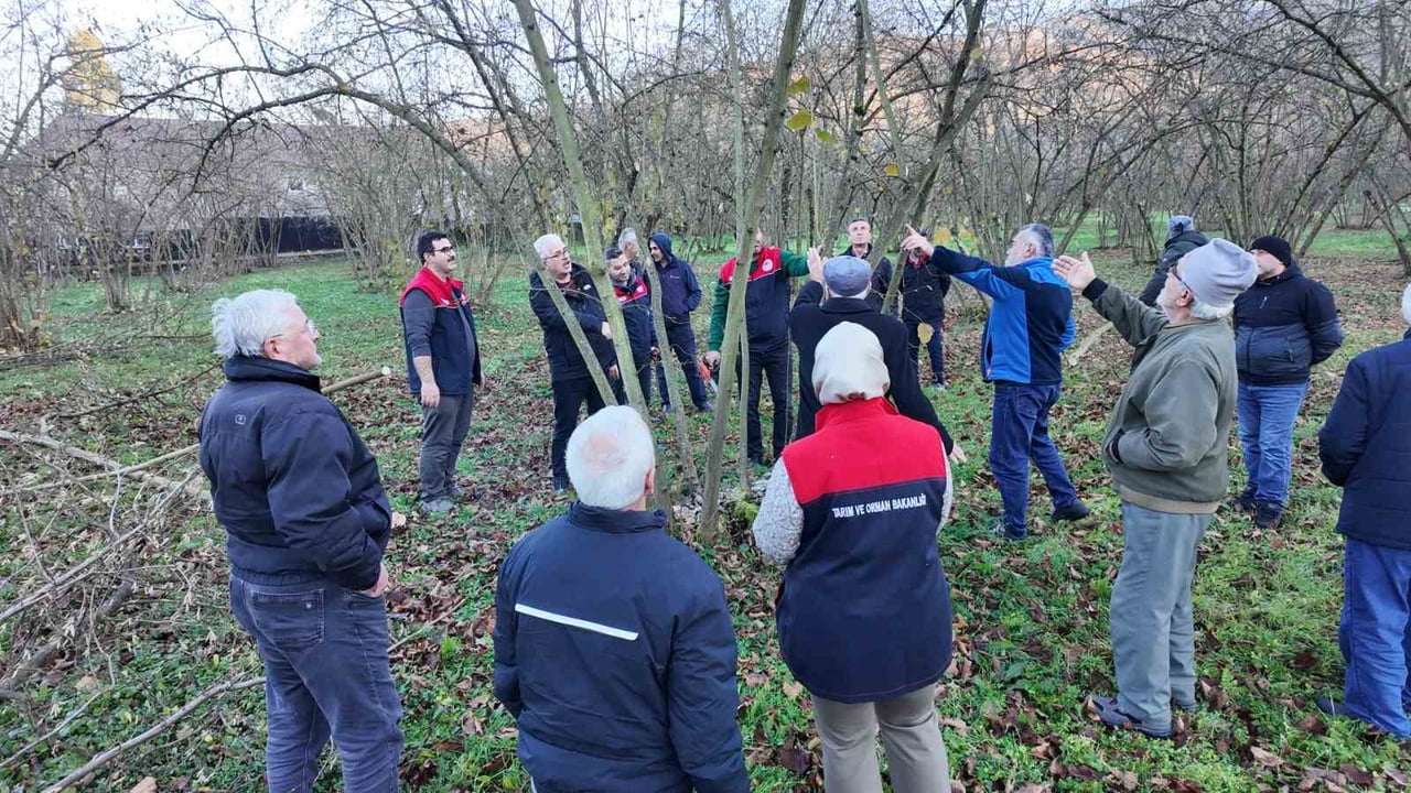 DÜZCE'DE TARIM VE ORMAN MÜDÜRLÜĞÜ TARAFINDAN FINDIK BUDAMA EĞİTİMLERİ, MERKEZ VE İLÇELERDE DEVAM...