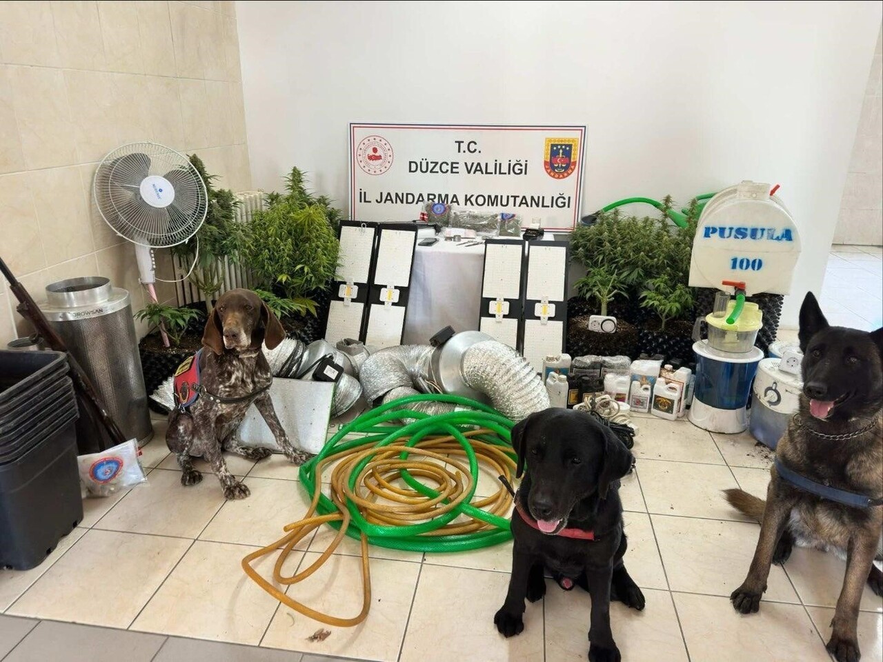 DÜZCE İL JANDARMA KOMUTANLIĞI TARAFINDAN YAPILAN İSTİHBARATİ ÇALIŞMALAR SONRASI UYUŞTURUCU...