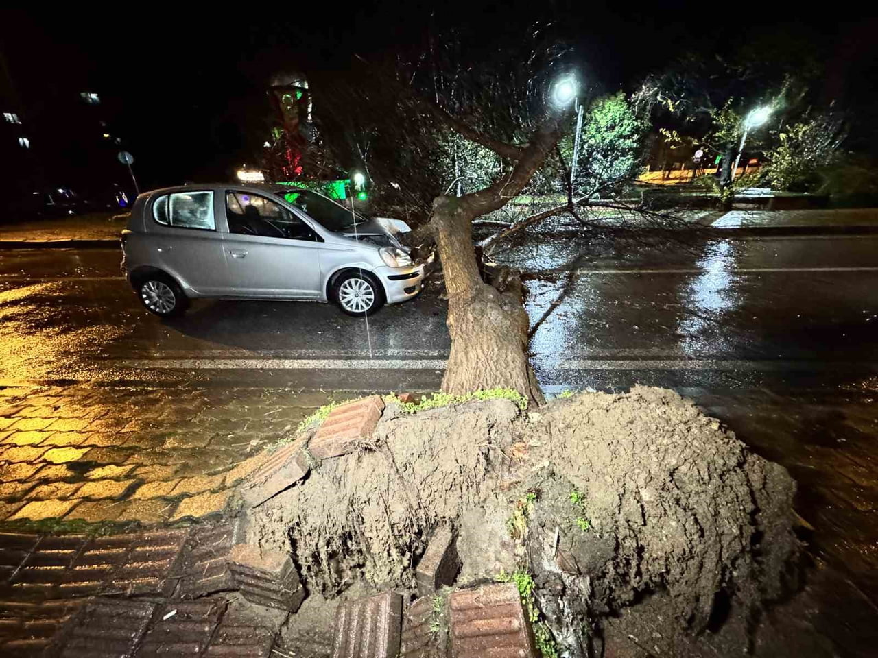 EDİRNE’DE SEYİR HALİNDEKİ OTOMOBİL ÜZERİNE AĞAÇ DEVRİLDİ