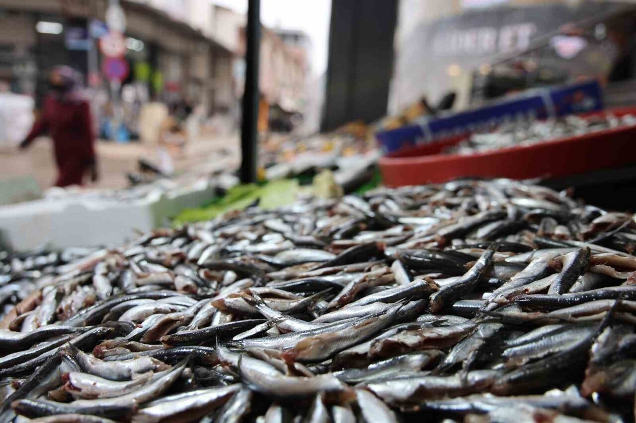 ELAZIĞ’DA HAVALARIN SOĞUMASIYLA BİRLİKTE VATANDAŞLAR BALIK ÜRÜNLERİNE YÖNELİRKEN, VATANDAŞLAR...