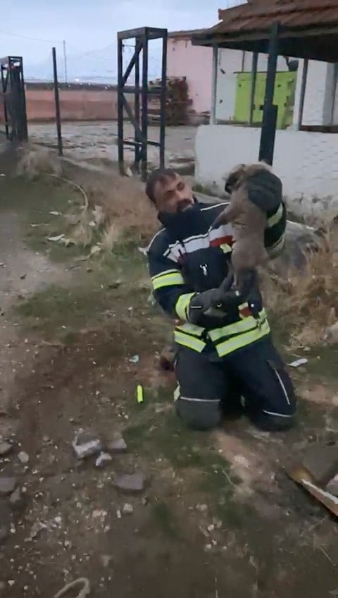 ELAZIĞ’IN ARINDIK KÖYÜNDE 3 METRE DERİNLİĞİNDEKİ LAĞIM ÇUKURUNA DÜŞEN İKİ YAVRU KÖPEK, İTFAİYE...