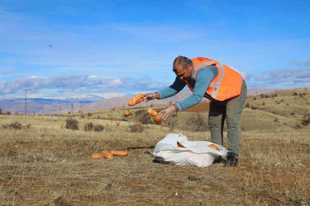 ELAZIĞDA DOĞAYA YEM BIRAKILDI