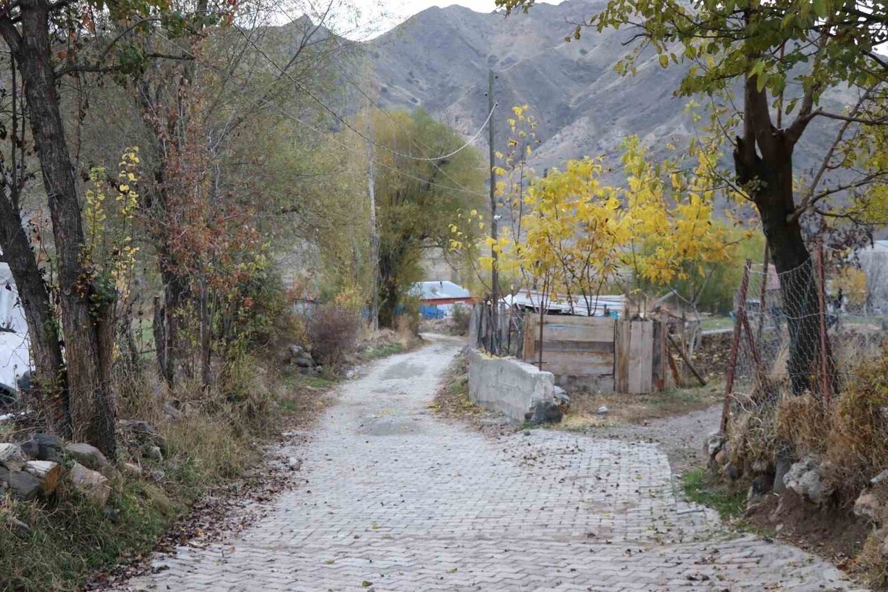 ERZURUM’UN OLTU İLÇESİ MERKEZ VE MAHALLELERİNDE DEVAM EDEN YOL YAPIM VE KİLİT PARKE TAŞI...