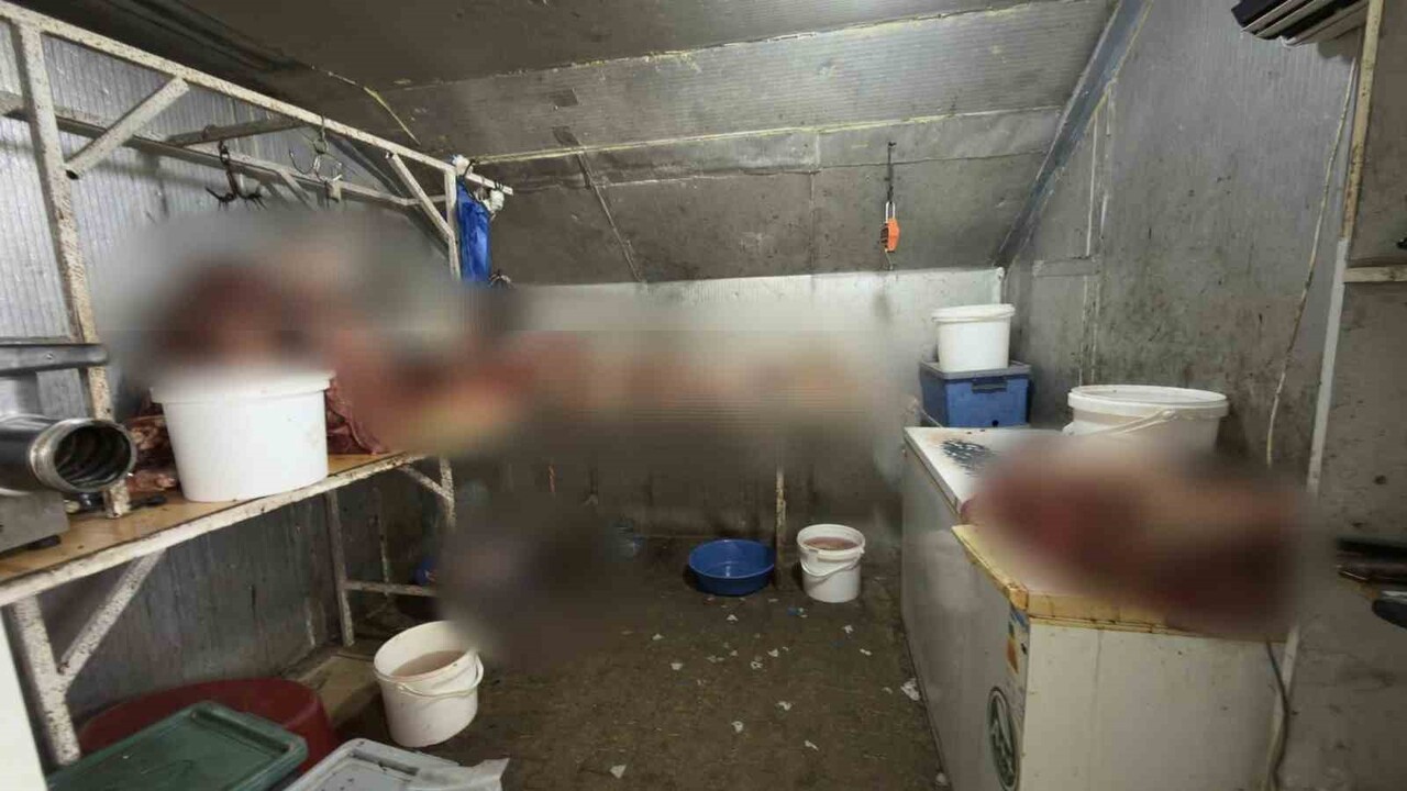 ESKİŞEHİR'İN ÇİFTELER İLÇESİ'NDE 215 KİLOGRAM KAÇAK AT ETİNİN ELE GEÇİRİLDİĞİ İŞLETME...