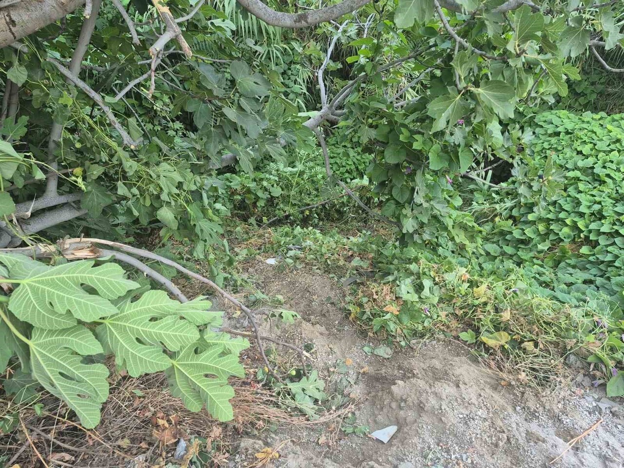 FETHİYE'DE KAZADA YARALANAN GENÇ, 123 GÜNLÜK YAŞAM MÜCADELESİNİ KAYBETTİ