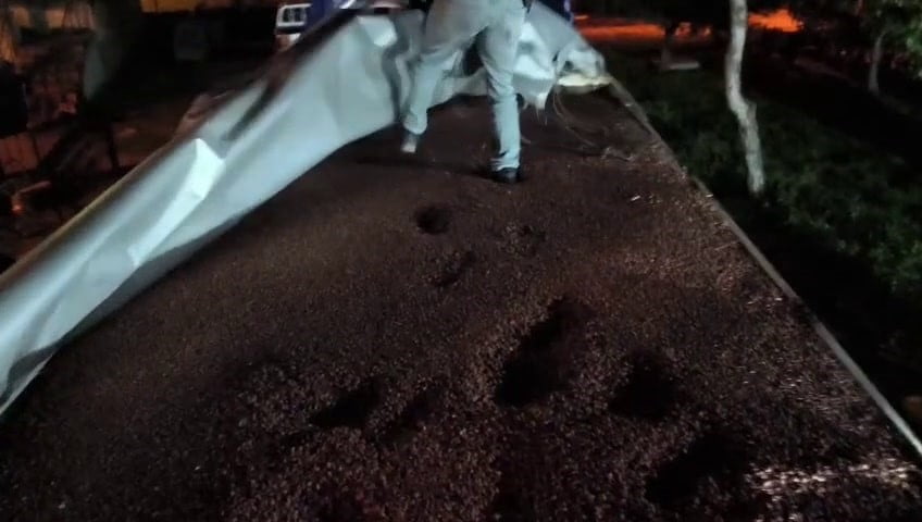 FINDIKLA KAMUFLE EDİLMEYE ÇALIŞAN DORSEDEN GÜMRÜKLENMİŞ PİYASA DEĞERİ 30 MİLYON LİRA OLAN 7 MİLYON...